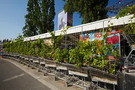 Donaukanal: Flex, Urban Gardening, Blick auf Ringturmverhüllung