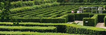 Labyrinth & maze, Schönbrunn Palace Park
