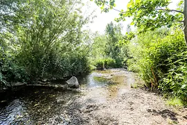 Liesingbach im 23. Bezirk