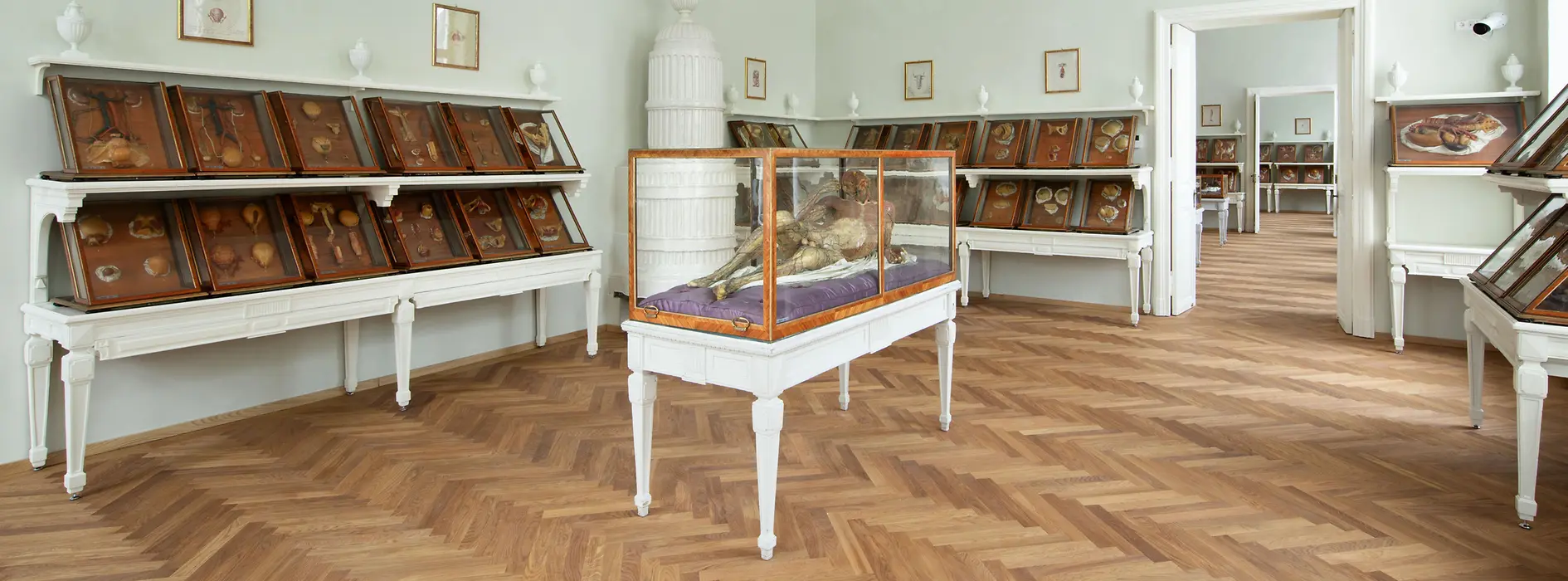 View of the exhibition with wax models in historic display cases