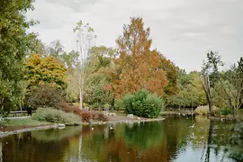 Park landscape with pond