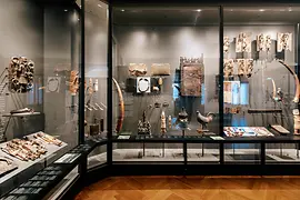 Weltmuseum Wien, vue de l'exposition