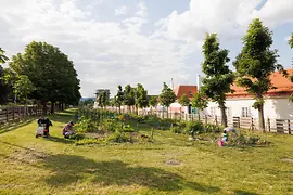 Augarten Vienne : le jardin communautaire est entretenu avec soin