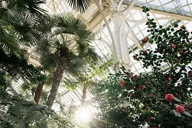 Palm House in Schönbrunn