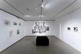 Vienna Actionism Museum, exhibition view