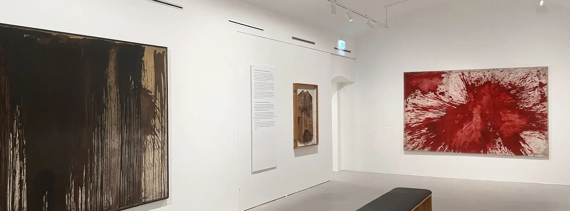 Vienna Actionism Museum (New), Exhibition View