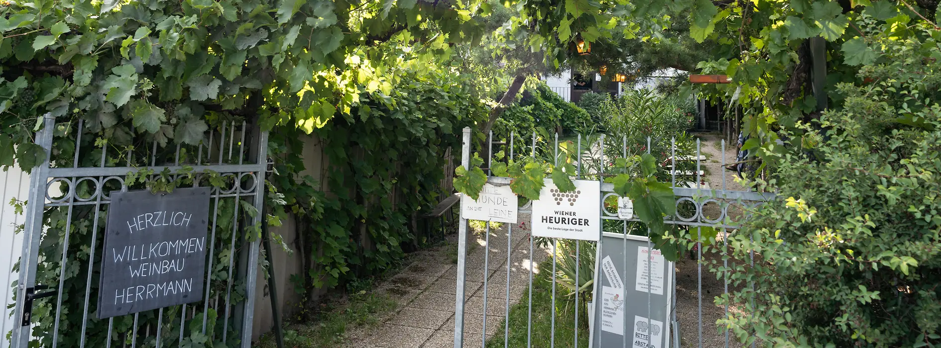Wine tavern