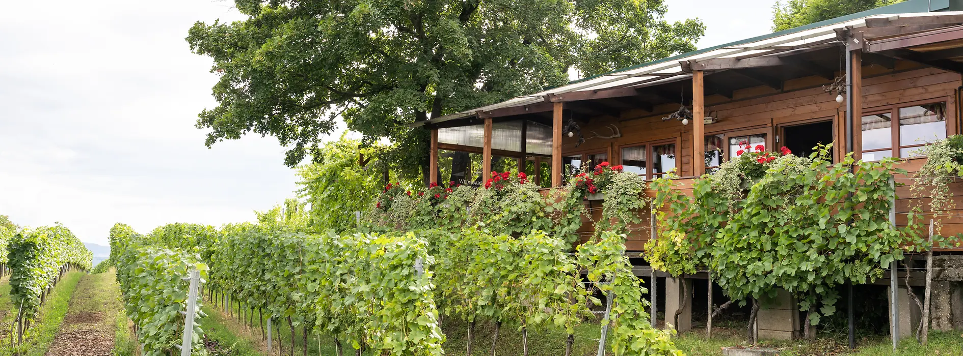 Wine tavern