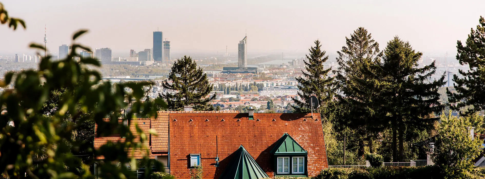 Vista de Viena desde Nussberg