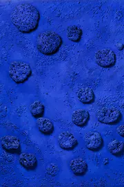Artwork by Yves Klein, Untitled Blue Sponge Relief (RE1)