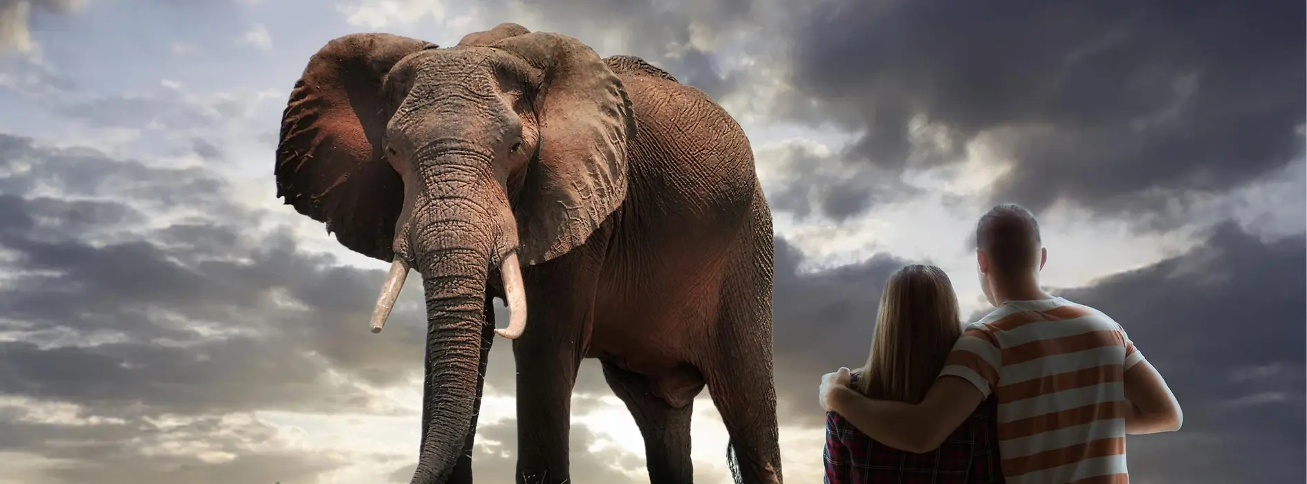 Immersium museum, interactive exhibition on animals