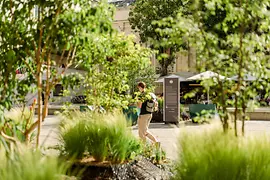 MuseumsQuartier Vienna with greenery
