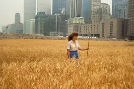 Photograph, Ágnes Dénes, Wheatfield, A Confrontation: Battery Park Landfill, Downtown Manhattan, 1982