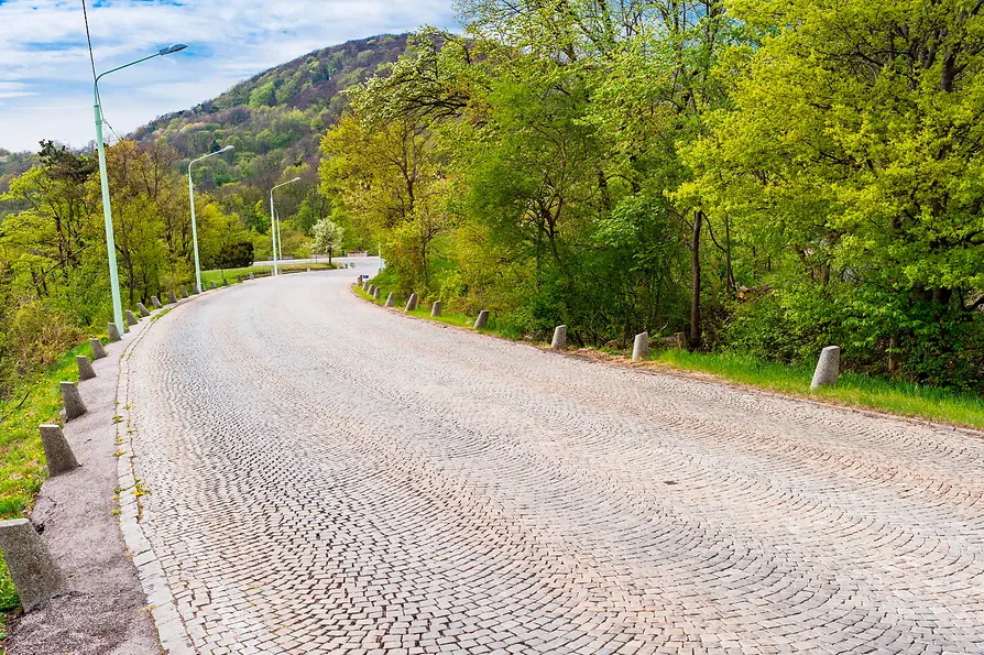 Булыжная мостовая венской Höhenstraße с видом на Венский лес.